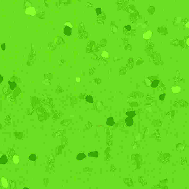 Ripesikkert gummigulv med høy elastisitet