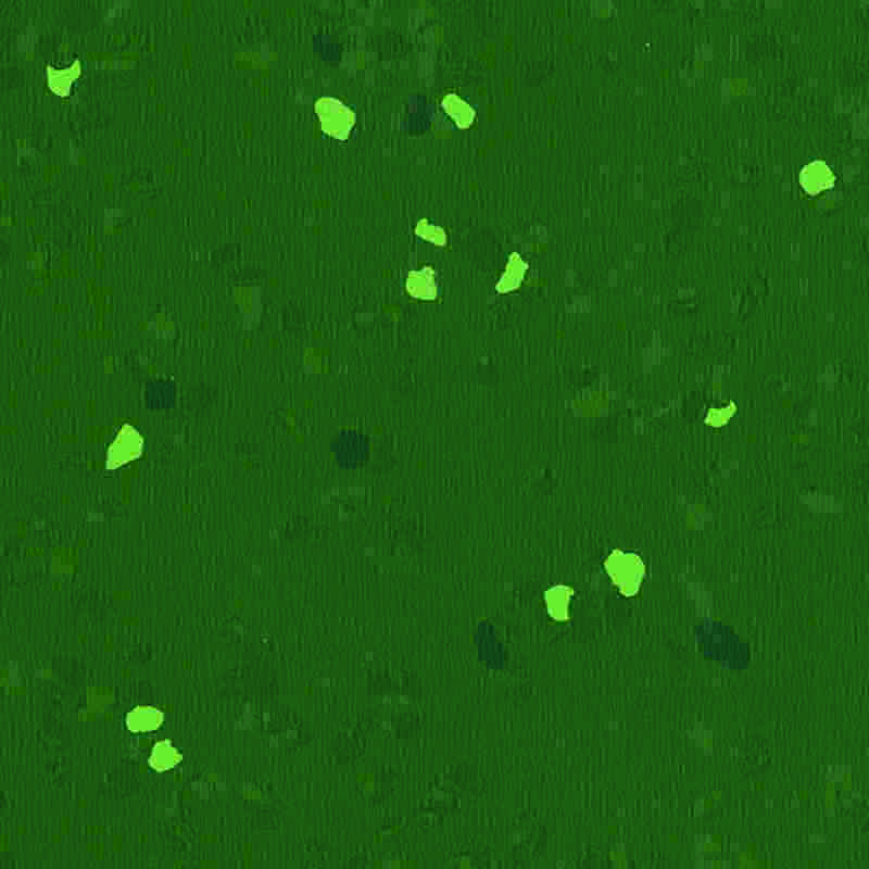 Ripesikkert gummigulv med høy elastisitet